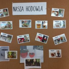 NASZA HODOWLA – podsumowanie zadania domowego – grupa 6