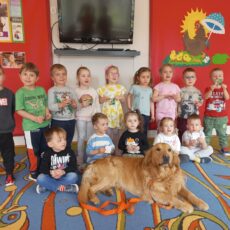 Dogoterapia w przedszkolu Słoneczko – grupa 1 i 2