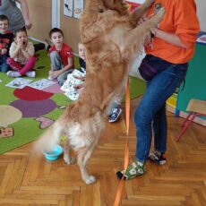 Dogoterapia w grupie 3, 4 i 5