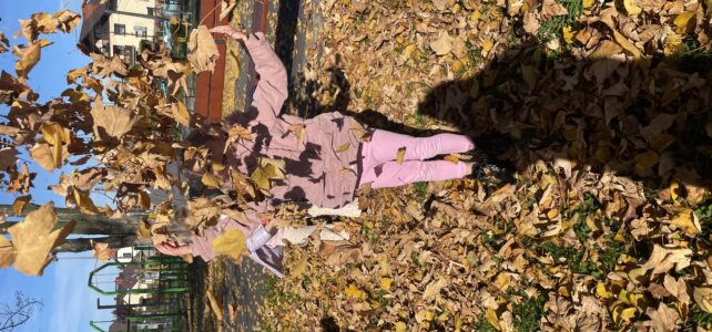 Zabawy w Parku – grupa 4