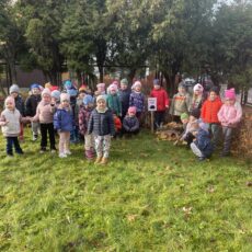 Mali przyrodnicy z grupy 2 i 4 z inicjatywy Gminy Brzeszcze – umieścili domek dla jeża w ogrodzie przedszkolnym!